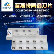 ��˹���մɵ�Ƭ CCMT060204-FG PT3000