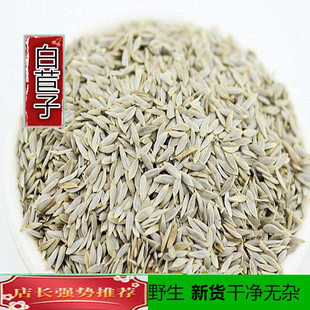 �n���� ������ �������n����500�˰��] �����к�������؛��؛