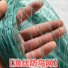 厂家直销聚乙烯防鸟网养殖天网葡萄园樱桃园果园果树防鸟鱼塘丝网