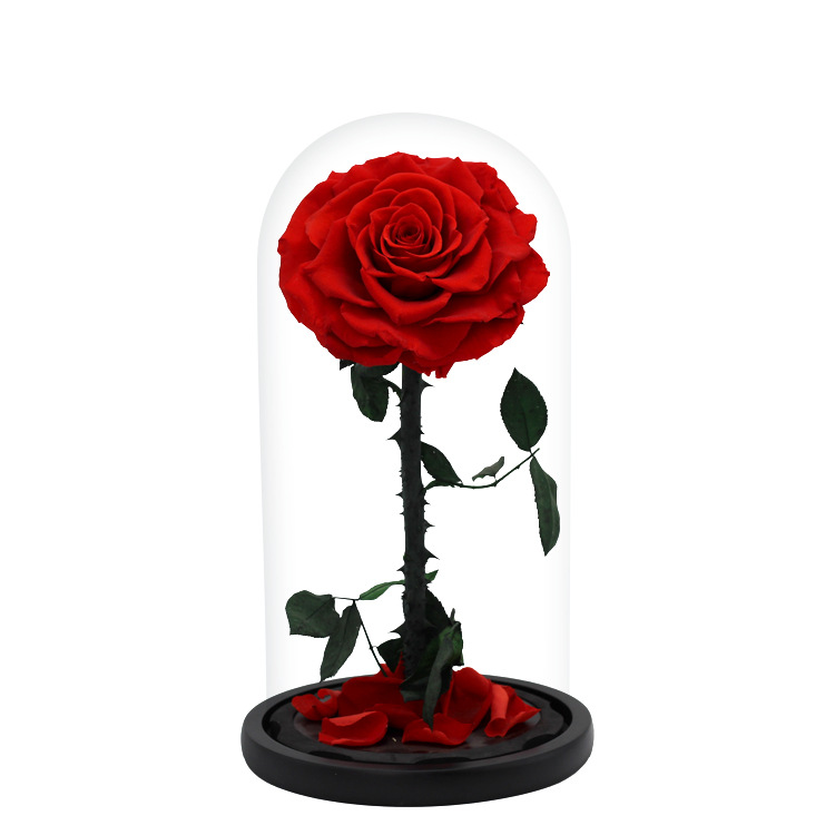 Rosa eterna del Principito, regalo de alta gama para el Día de San Valentín, rosa real cubierta de cristal, regalo transfronterizo de Navidad.