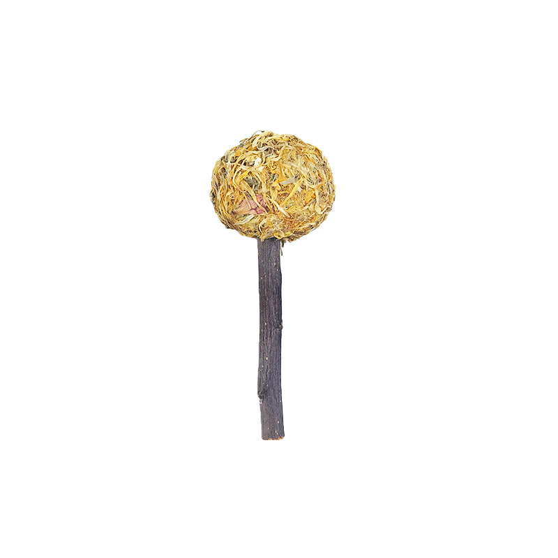 Conejo molar piruletas, flores naturales, ramas de manzana, loto, chinchilla, hámster, conejillo de indias, bolas de hierba, productos para mascotas
