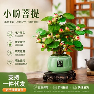 �k��������Gֲ�辰����[���ļ����B����С���������������U��