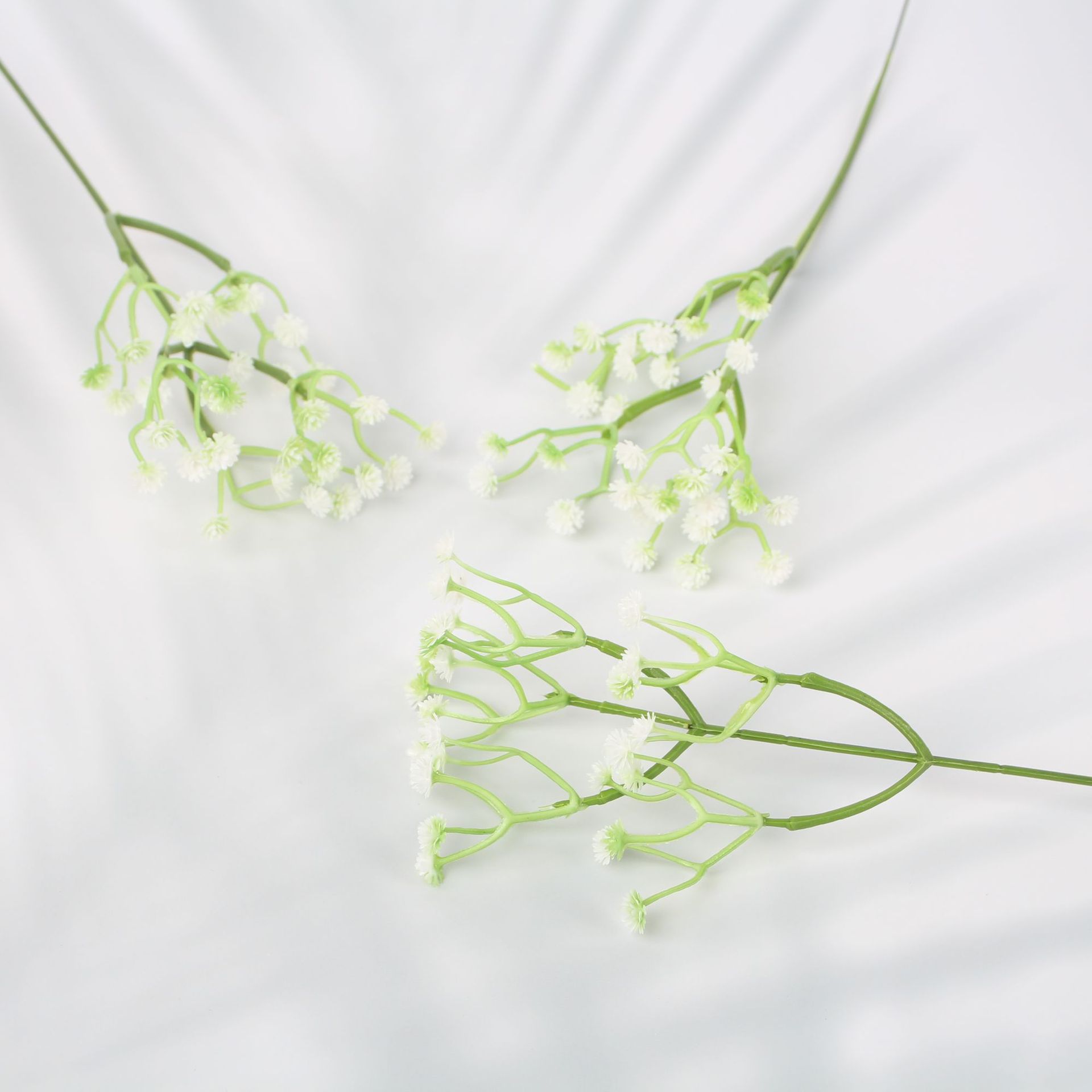 단일 짧은 안개꽃