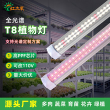 T8һ�wֲ��������L��Led�M����������߲��҃�ȫ���V�a���