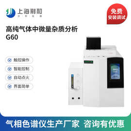 荆和 G60氦离子检测器PDHID气相色谱仪高纯气体中微量杂质分析
