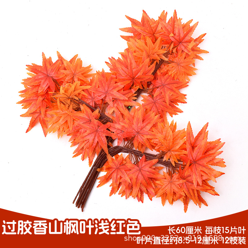 접착된 향기로운 산 단풍잎 연한 빨간색(가지 12개)