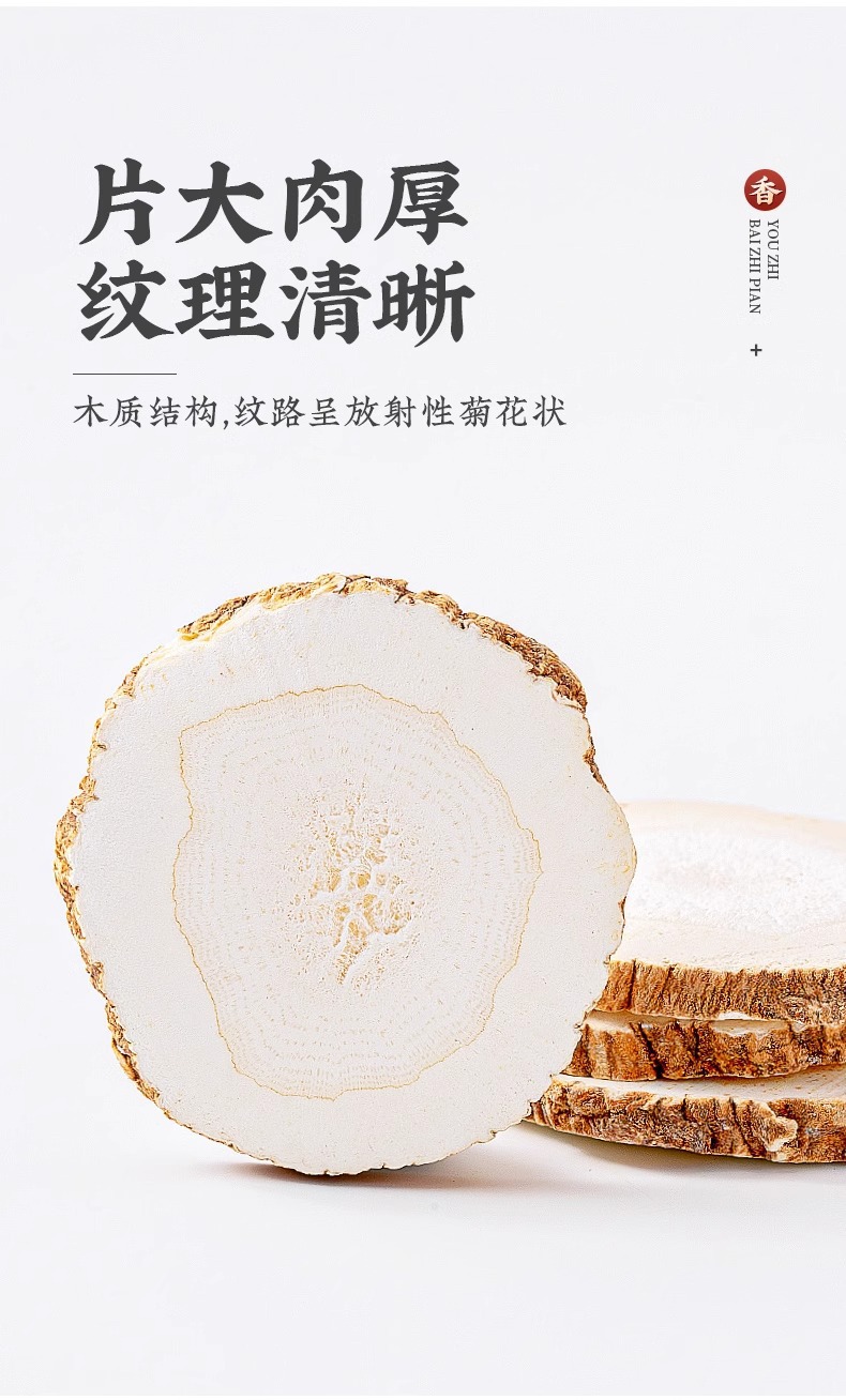 Bai Zhi Dried Angelica Dahurica Root Slices 100g Bottle Traditional Chinese Herb for Decoction and Culinary Use in use