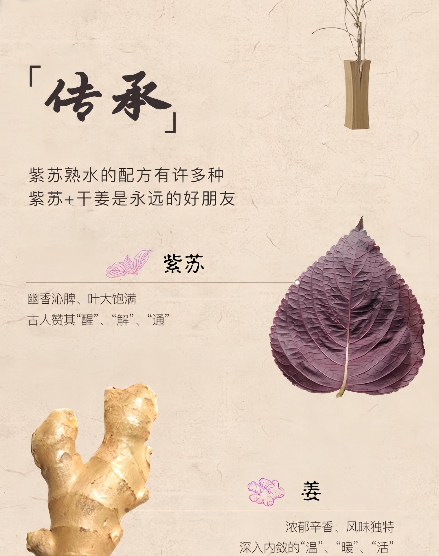 Zisu Drink Perilla Herbal Tea 6g x 20 Sachets Cold Brewed Sugar Free Wellness Beverage specifications