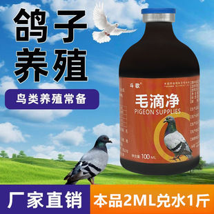 ����������ِ��������ë���x���x����һ�S�ھG���B�ǻ�坍��ȫ