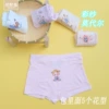5282 Caichang Modal (1 pack of 5 flower types)
