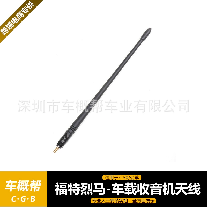 Для Ford Lema/F150/Rams автомобильная радиоантенна-33CM-Углеродное волокно