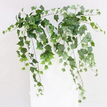 ������ɽ���zӡ��ɽ���ڒ��ٗl����ع��~�����ټپGֲ�~�����z�~