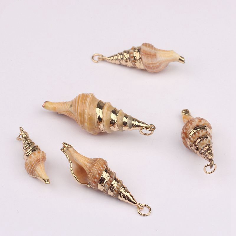 Fashionable Shell Jewelry