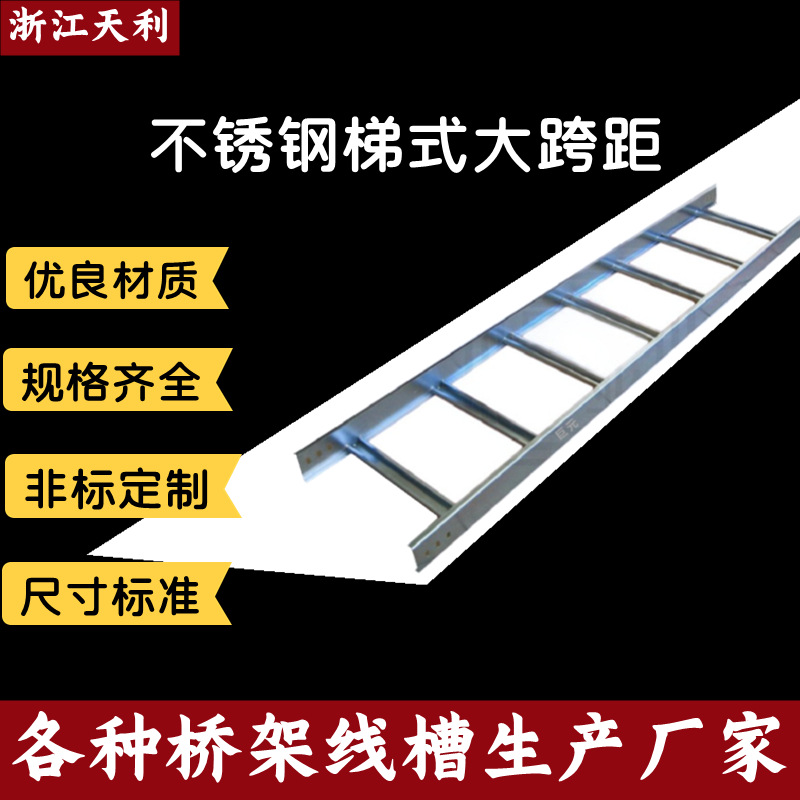 不锈钢电缆桥架300*100 钢制金属电缆桥架 梯式大跨距线槽 浙江厂
