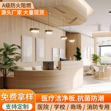 冰火板防火阻燃板无机预涂板医疗洁净饰面板a级隔热板隔音隔热