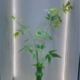 仿真小清新中式摆件插花