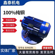 全国批发 YE3三相异步电机  风机。水泵专用纯铜均国标电机电动机