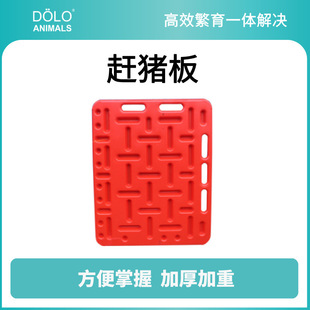 �l���s�i����i��tɫȫ�����i���O��