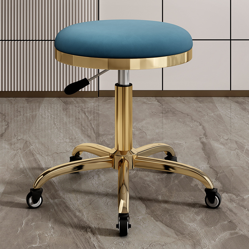 silla de dentista de estética elevadora polea de manicura silla giratoria silla de computadora silla de laboratorio maestro taburete