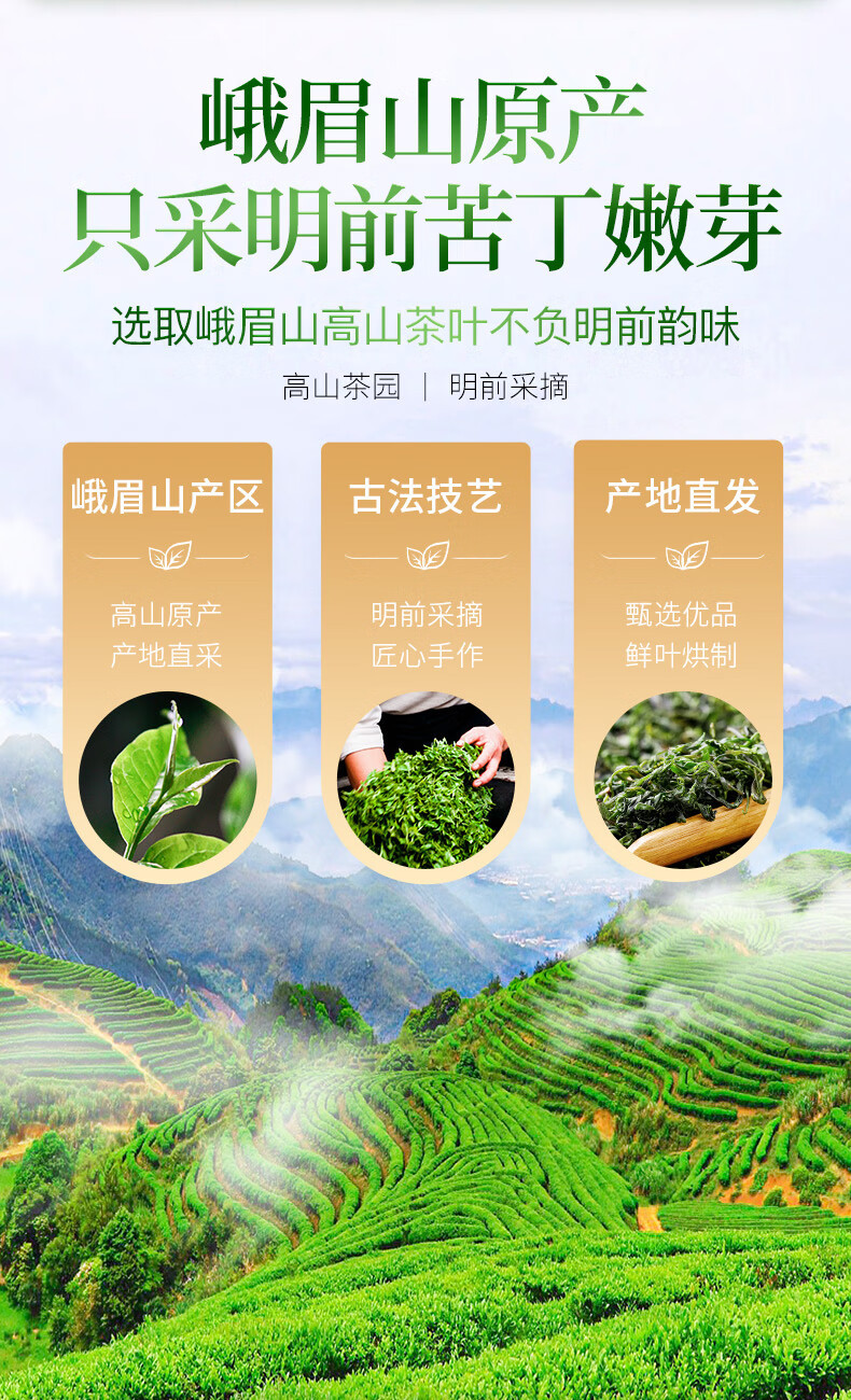 Small Leaf Kuding Tea Ku Ding Cha Premium Pre-Qingming Tender Buds Loose Herbal Tea 40g Canister key features