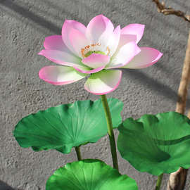 假荷花花莲花荷叶带杆造景小摆件舞蹈道具软塑料景观装饰