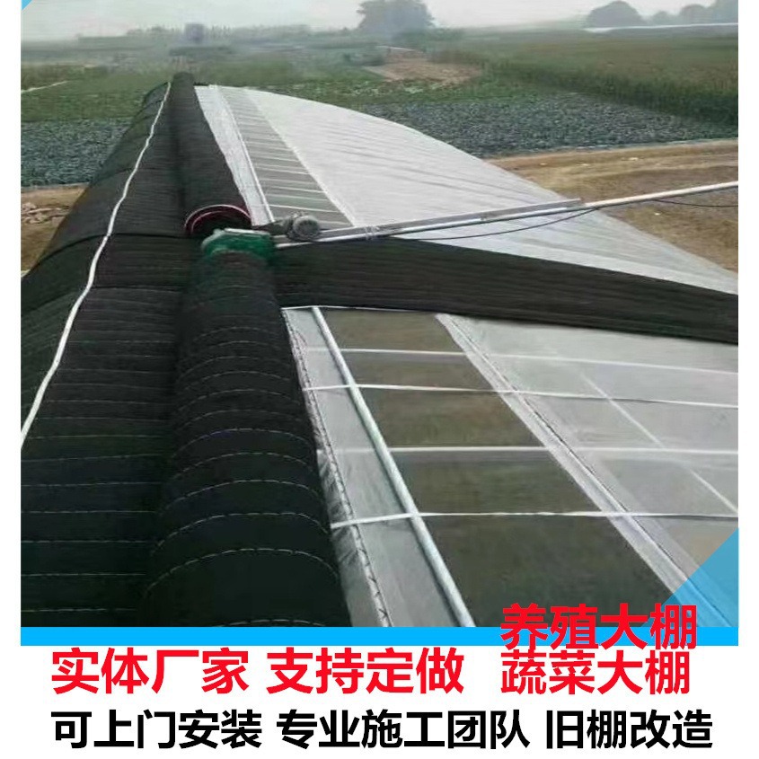 温室大棚管骨架 温室大棚安装 幕墙大棚30*80椭圆管大棚