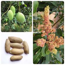 â���N�Ӗx����N���R��Ĩ�͹�ç���������������ә�����N���ļ�