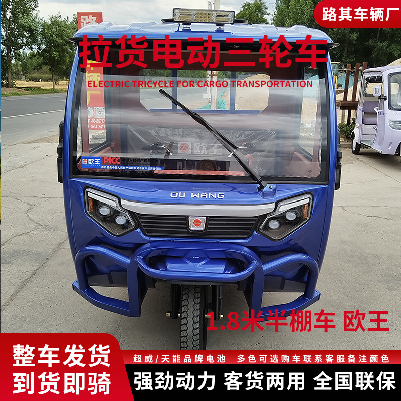 Triciclo eléctrico de carga, vehículo de carga cerrado de 1 plaza, resistente al viento y a la lluvia, scooter eléctrico agrícola semicerrado de alta potencia, triciclo