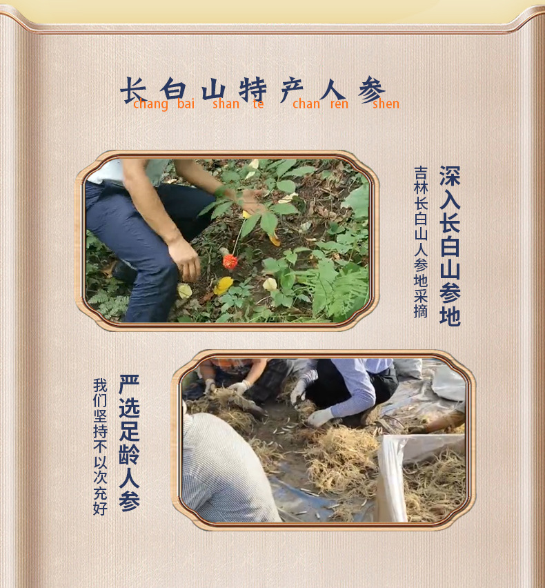 Changbai Mountain Wild-Forest Ginseng Gift Box Dried Root for Cooking and Wine Soaking key features