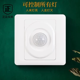 其他开关;感应开关;墙壁插座