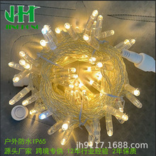 10m100ledݚzLED͸PVC}QhbIP65