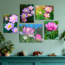 5d钻石贴画 5d钻石贴画品牌 图片 价格 5d钻石贴画批发 阿里巴巴