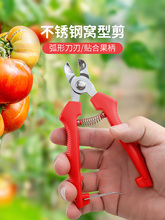 ���P䓸C��ժ���������O�������Ӳ�ժ��ˮ������������֦����