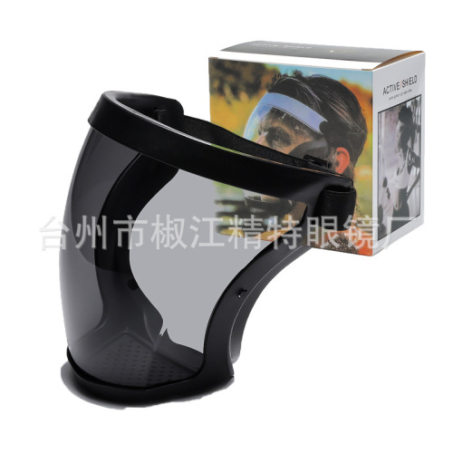 Cross-border new protective mask full-face high-definition transparent dust-proof and splash-proof horse head mask space spherical goggles