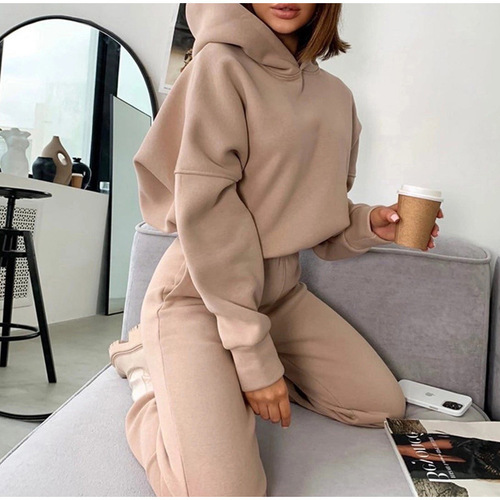 Amazon ebay independent station 2024 foreign trade European and American clothing autumn and winter new hooded sweatshirt set two-piece set