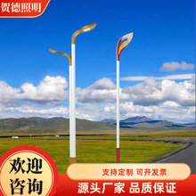 源头厂家直供双头景观灯市政道路公园景区非标定制路灯工厂道路灯