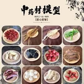 药材标本模型鹿茸科教教具医学院校黄精名贵人参虫草科普党参模型