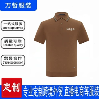 polo衫定制翻领短袖房地产工装企业工衣广告文化衫印花logo来图