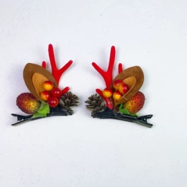 发夹;发箍;胸针