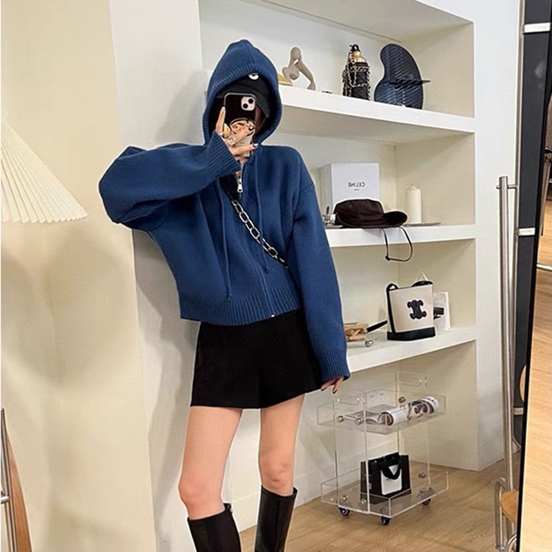 韩系设计感拉链连帽针织开衫女春秋新款宽松休闲短款慵懒毛衣外套|undefined