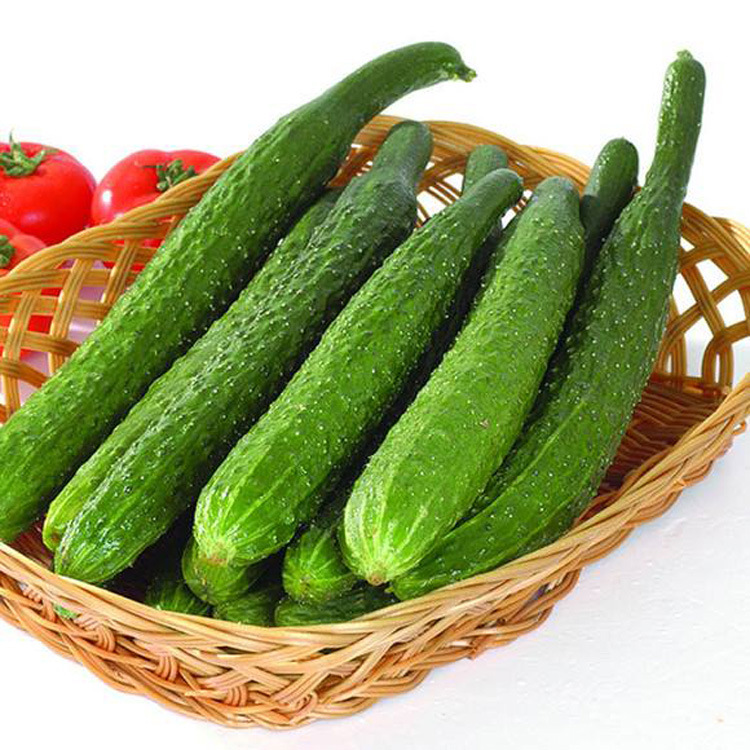 �������⨺��ң��㾫������㾫����ݮ�㾫���ջ��㾫