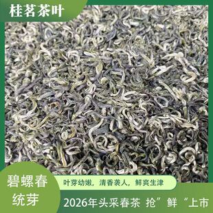 2026�^�ɴ�����ݴ� ��ɽ�G�� ���ݴ��yѿ �rˬ�ʴ� �S��ֱ�Nɢ��