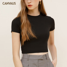 CANVAUSŮ�b�¿�̿�¶��Ě¶Ě����Ī���������ļ��A�IT��ŮK265