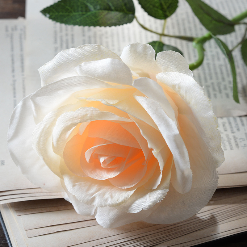 Large silk champagne color