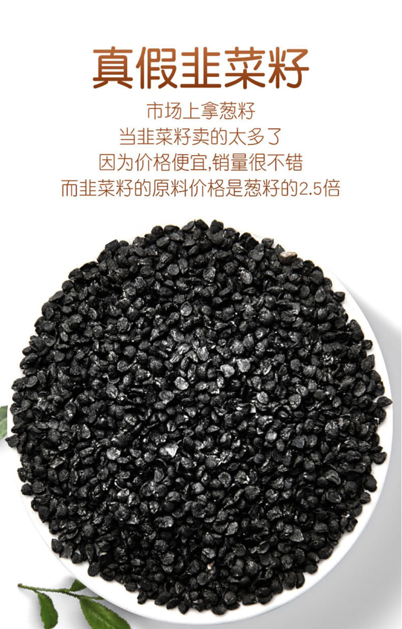 Chinese Chive Seeds Jiu Cai Zi 500g Dried Allium Tuberosum Seeds for Wine Infusion and Herbal Tea specifications