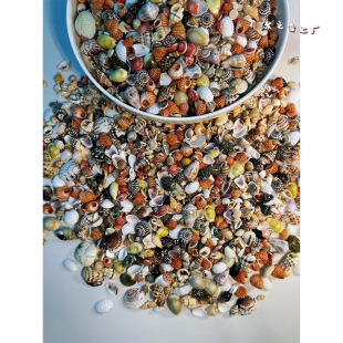 ����ؐ�� �oȾɫ �ɿ�؛��20�N��С���k��ؐ�����ݽM�� �ղؘ˱�