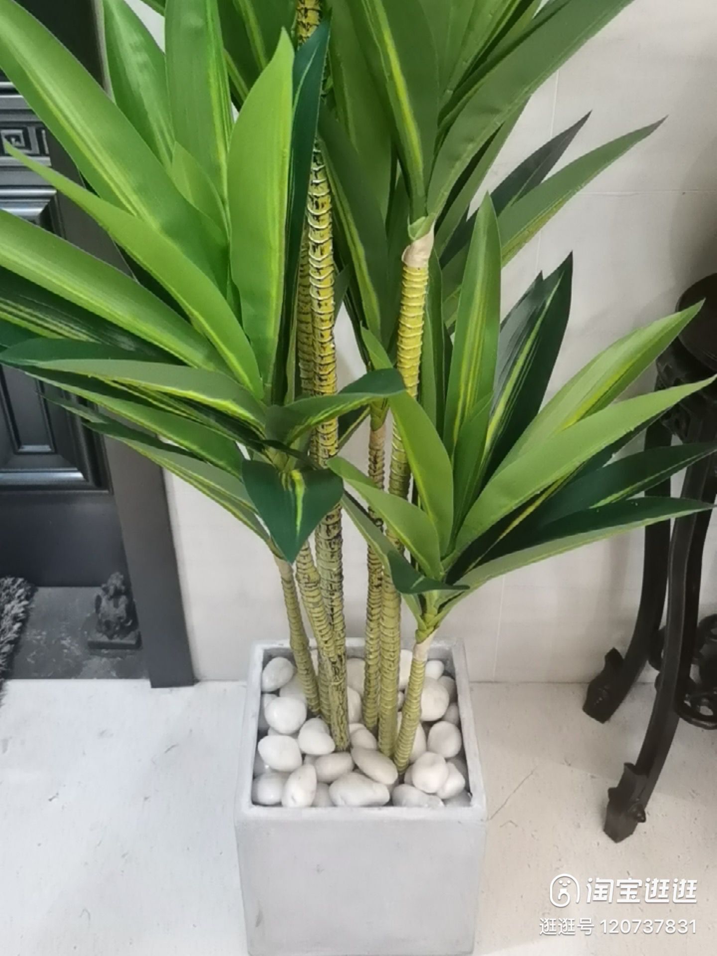 QQ图片20220325095222