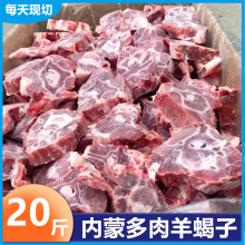 羊蝎子生鲜新鲜带肉羔羊多肉火锅脖骨20斤羊脊骨冷冻商用羊肉