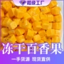 冻干夏天定制水果水果茶