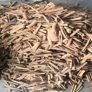 ����,ȥƤ���,�S�Ҵ�؛���l��ș�Ĺ���,���N�{�Ϲ���